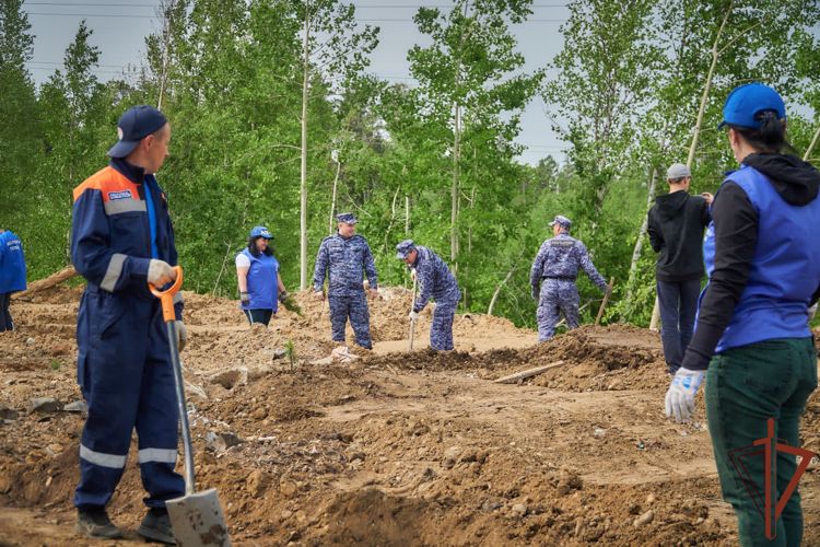 В рамках акции «Сад памяти» в Красноярском крае росгвардейцы высадили деревья 