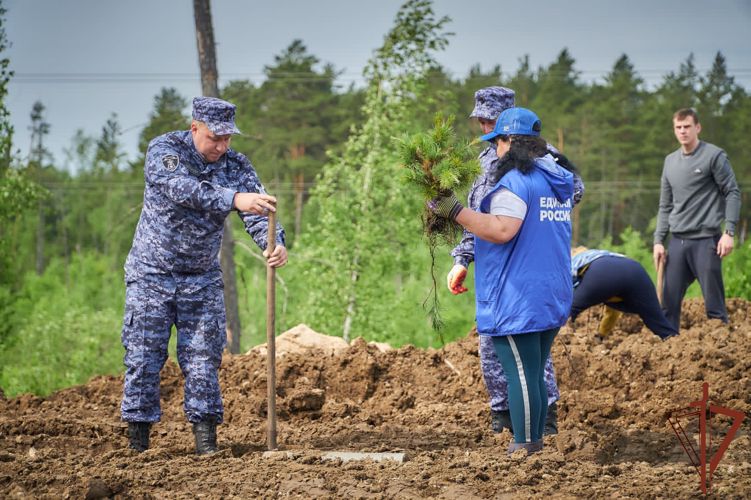 В рамках акции «Сад памяти» в Красноярском крае росгвардейцы высадили деревья 
