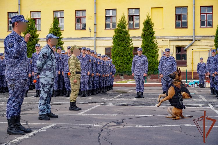 Командующий СЗО Росгвардии вручил награды кинологам, отличившимся в СВО (видео)