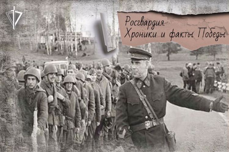 Войска  охраны тыла сформированы 82 года назад