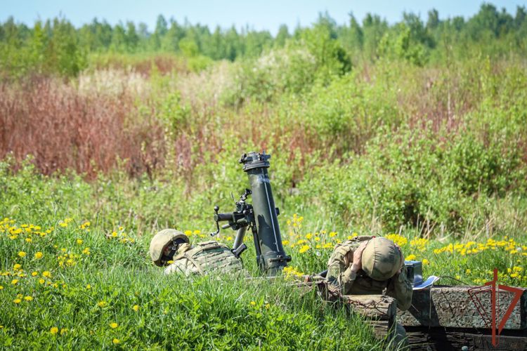Минометчики СЗО Росгвардии провели тренировку по стрельбе под Петербургом (видео)