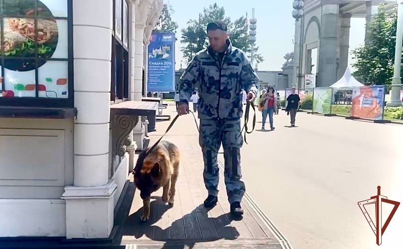 Общественную безопасность на фестивале «Движение первых» в Москве обеспечили росгвардейцы