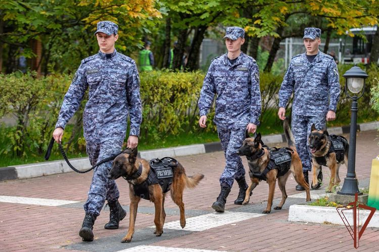 Командующий Центральным округом Росгвардии поздравил специалистов кинологической службы с профессиональным праздником
