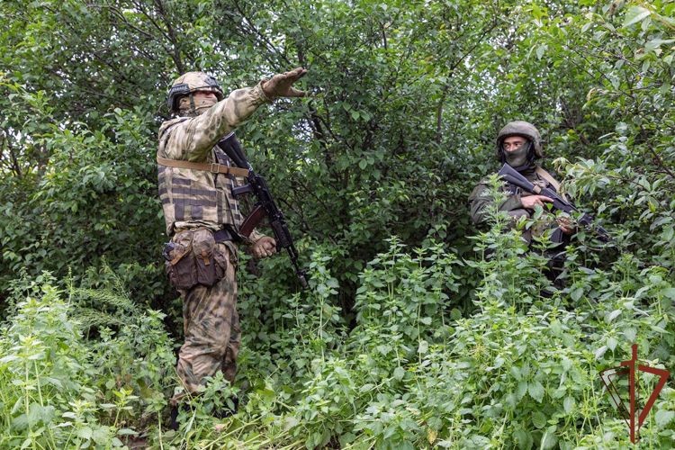 Схрон боеприпасов обнаружили росгвардейцы под мостом в ЛНР (видео)
