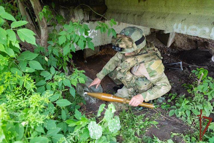 Схрон боеприпасов обнаружили росгвардейцы под мостом в ЛНР (видео)