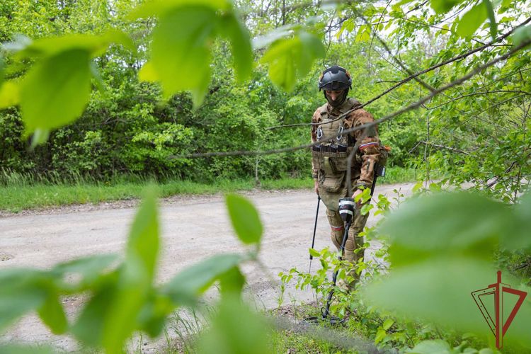 Росгвардия показала кадры служебно-боевой деятельности подразделений в ЛНР (видео)