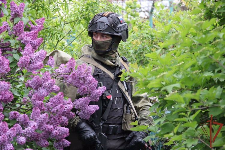 Росгвардия проводит разведывательно-поисковые и специальные мероприятия в Херсонской и Запорожской областях 