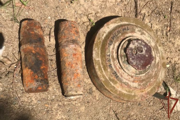 Более 15 боеприпасов времен войны уничтожили за неделю росгвардейцы на Кубани