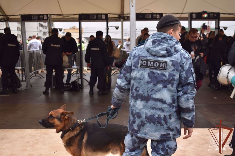 Кинологи столичного главка Росгвардии отмечают профессиональный праздник (видео)