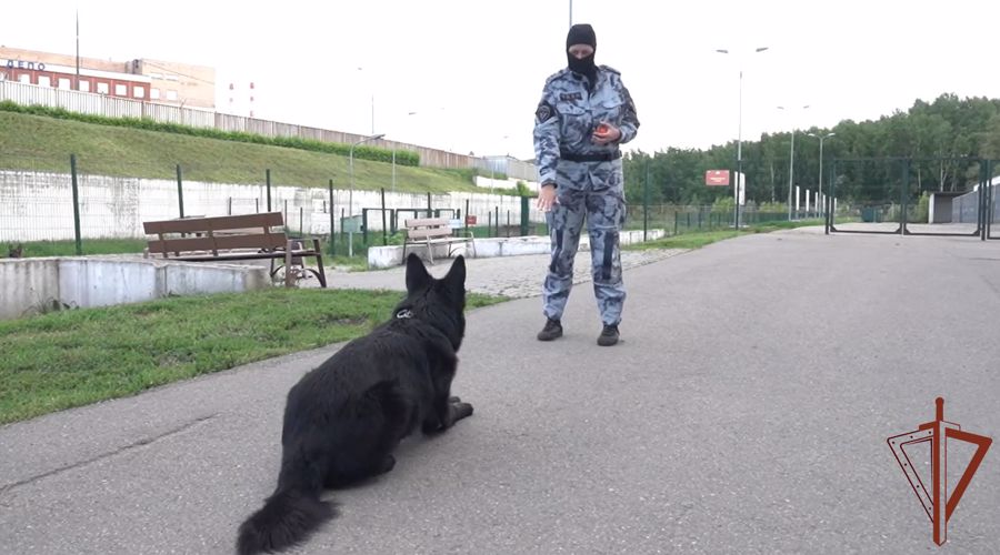 Кинологи столичного главка Росгвардии отмечают профессиональный праздник (видео)