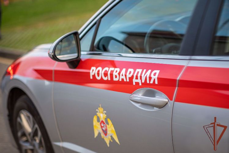 СОБР Росгвардии нейтрализовал вооруженного преступника в подмосковном коттеджном поселке