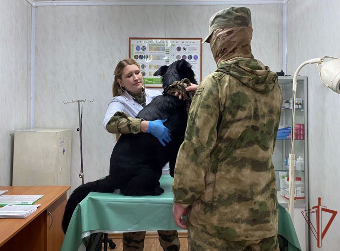 Фельдшер ветеринарно-санитарной службы Росгвардии рассказала журналисту из Архангельска о своей работе