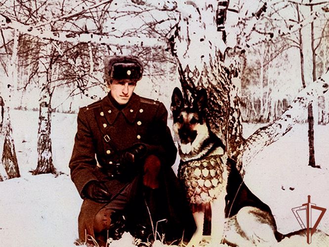 Росгвардия увековечит память о легендарной служебной собаке в Кузбассе (видео)