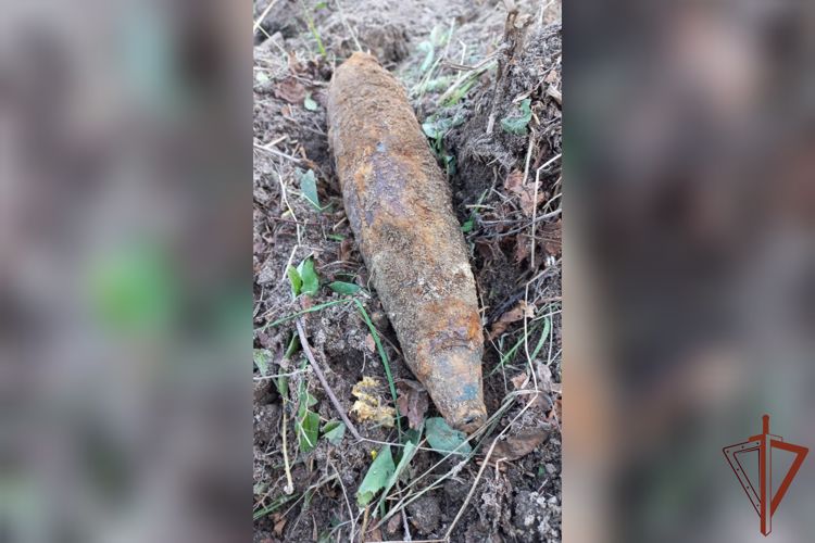 Снаряд времен Великой Отечественной войны обезвредили росгвардейцы в Ярославской области
