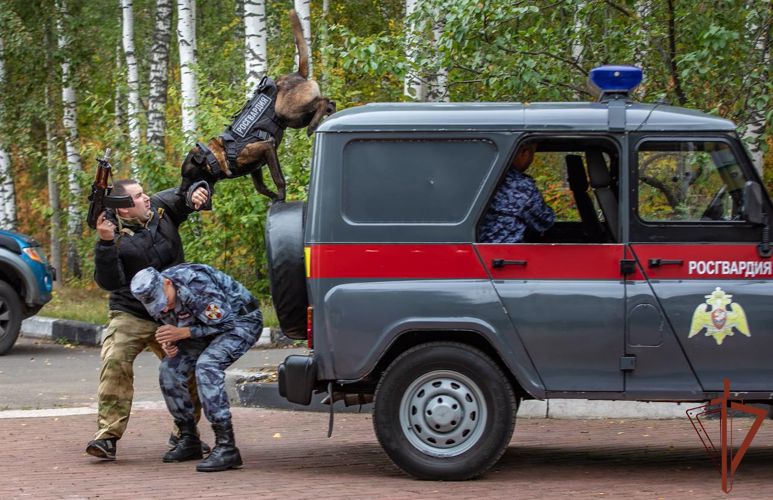 Кинологи Росгвардии обсудили современные методики дрессировки служебных собак