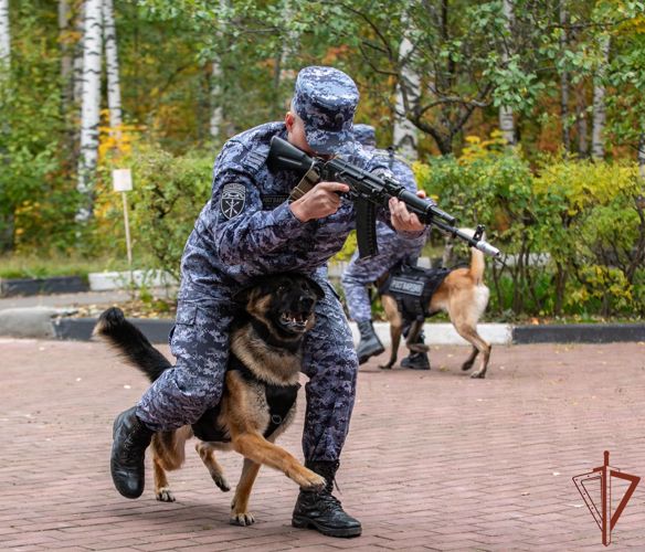 Кинологи Росгвардии обсудили современные методики дрессировки служебных собак