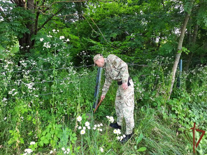 Росгвардия обеспечила правопорядок во время проведения национального праздника в Северной Осетии