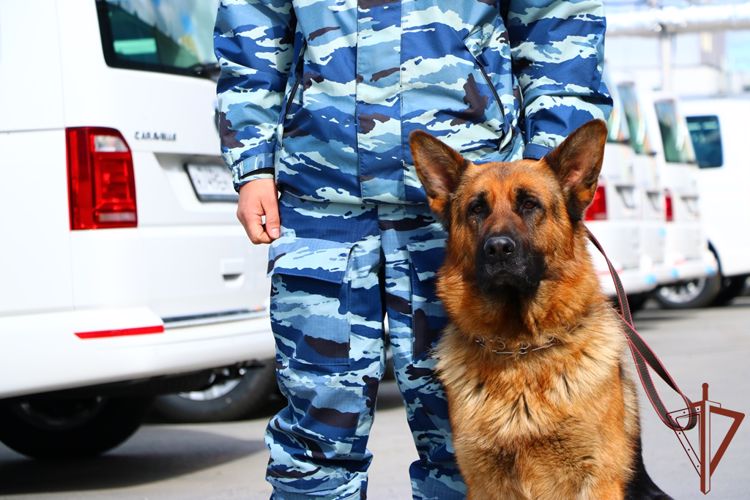 На Урале безопасность массовых мероприятий обеспечили сотрудники Росгвардии 