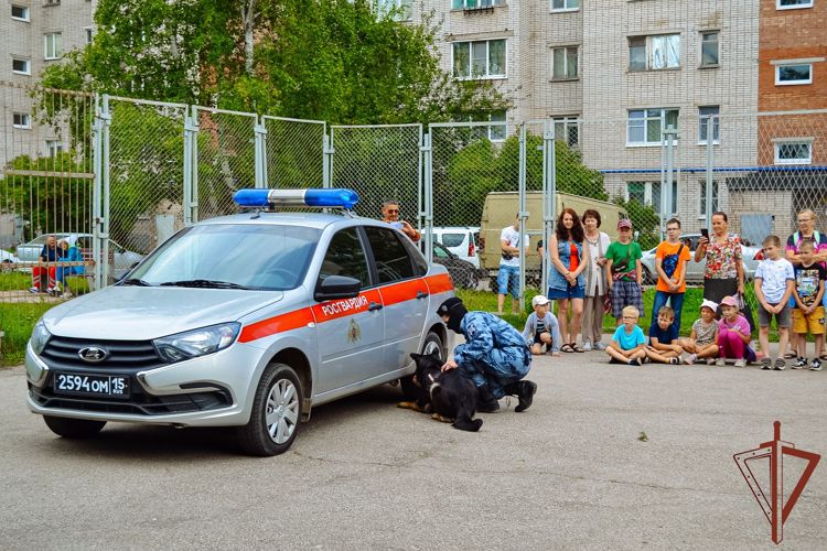 Кинологи из Росгвардии встретились с волонтерами новгородского молодежного центра (видео)
