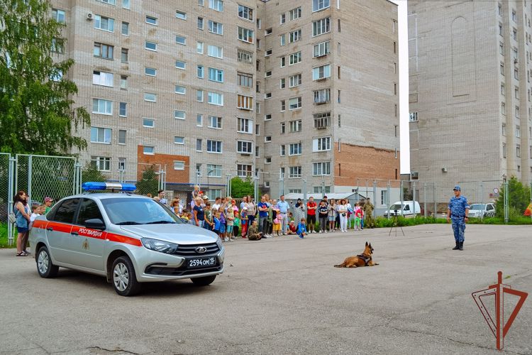 Кинологи из Росгвардии встретились с волонтерами новгородского молодежного центра (видео)