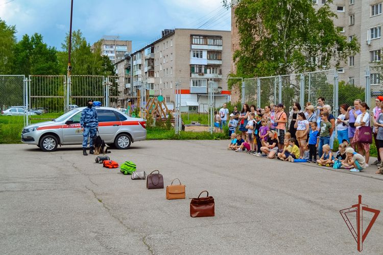 Кинологи из Росгвардии встретились с волонтерами новгородского молодежного центра (видео)
