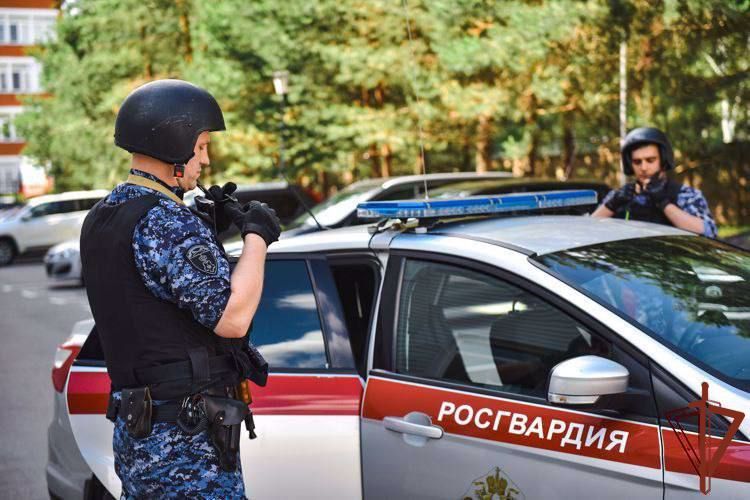 Патруль Росгвардии задержал в Подмосковье нетрезвого водителя
