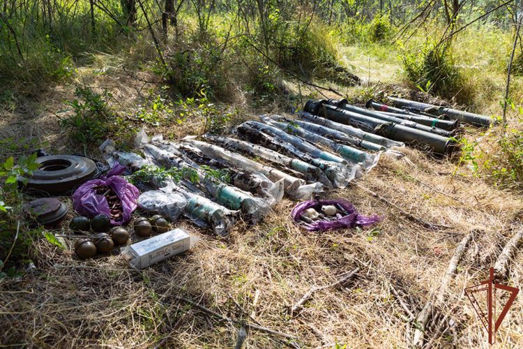 Росгвардейцы обнаружили тайник с боеприпасами в лесном массиве в ЛНР 
