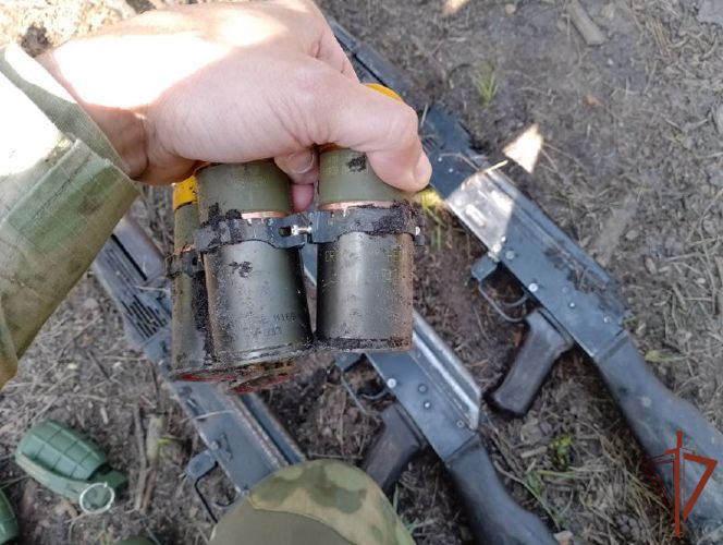 Росгвардейцы пресекли подготовку диверсий в лесном массиве ЛНР