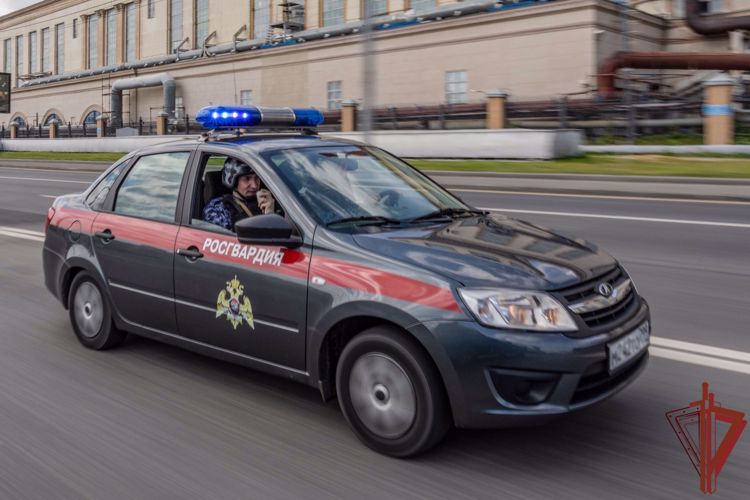 Патруль Росгвардии задержал жителя Москвы с крупной партией наркотиков