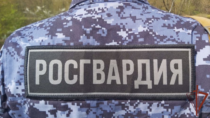 Росгвадейцы обеспечили безопасность турнира по хоккею памяти И.Х. Ромазана в Магнитогорске
