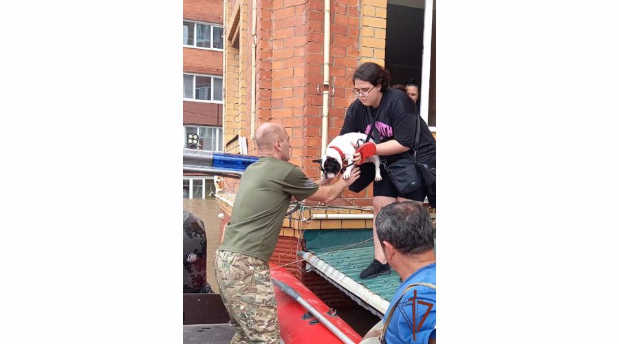 Росгвардейцы эвакуируют граждан на затопленных территориях Приморья