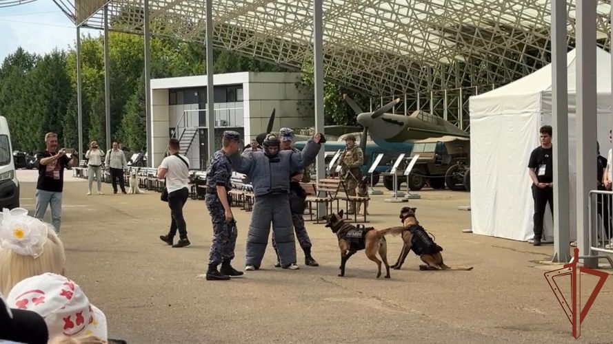 Кинологи Росгвардии со своими питомцами выступили на Дне фронтовой собаки в Москве 