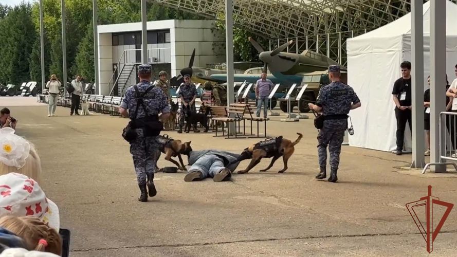Кинологи Росгвардии со своими питомцами выступили на Дне фронтовой собаки в Москве 