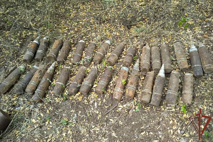Взрывотехники Росгвардии уничтожили  более 60 боеприпасов периода Великой Отечественной войны в Краснодарском крае