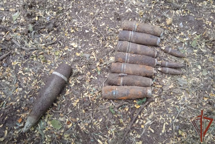 Взрывотехники Росгвардии уничтожили  более 60 боеприпасов периода Великой Отечественной войны в Краснодарском крае