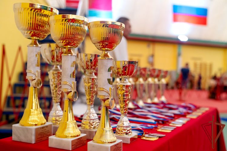 Итоги чемпионата по комплексному единоборству подвели в Южном округе Росгвардии (видео)