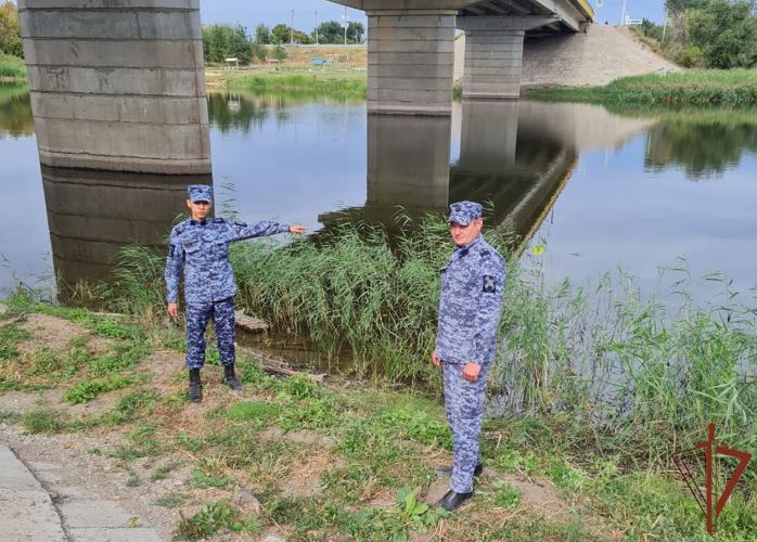 Сотрудники Росгвардии в Саратовской области спасли утопающего