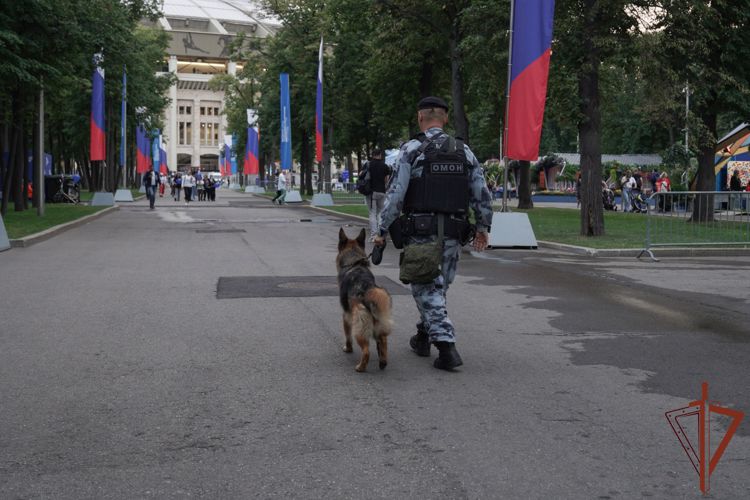 Росгвардия обеспечила безопасность москвичей и гостей столицы в день города