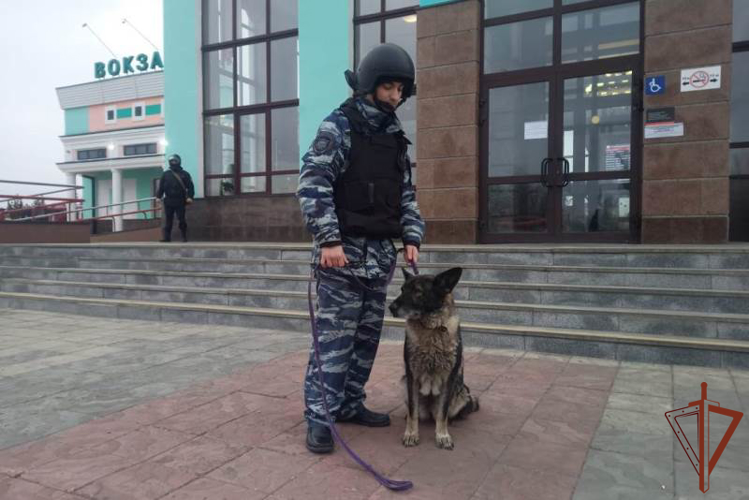 Межведомственное командно-штабное учение с участием Росгвардии состоялись в Алтайском крае