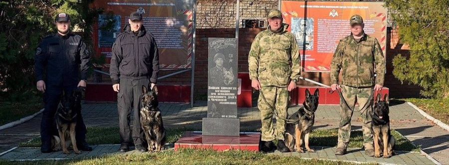 Новейшие методики обучения служебных собак изучили кинологи Северо-Западного округа Росгвардии