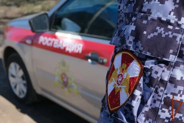 Росгвардейцы участвовали в тушении пожара на территории охраняемого объекта в Московской области