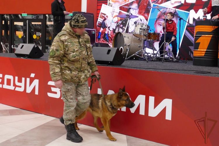 Безопасность массовых мероприятий обеспечили сотрудники Росгвардии в городах Сибири