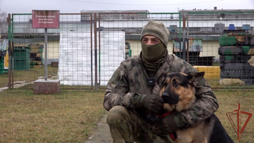 Кинологи Росгвардии завершили курс профессиональной подготовки в Московской области