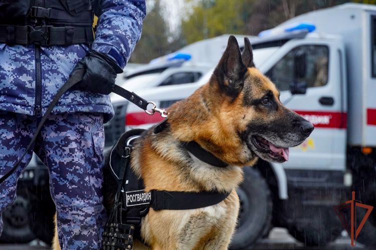 Росгвардейцы обеспечили безопасность массовых мероприятий в Санкт-Петербурге