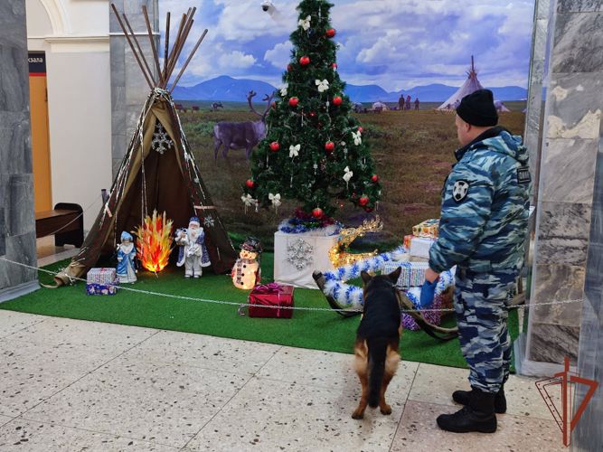 Сотрудники ОМОН Росгвардии обследовали прибывший в Воркуту новогодний поезд