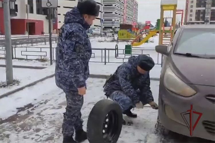 Сотрудники Росгвардии помогли жительнице Подмосковья починить автомобиль (видео)