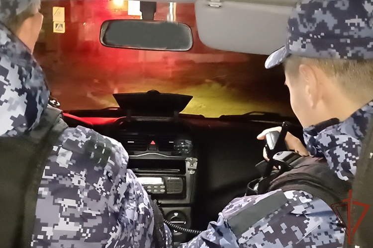 Росгвардейцы задержали вооруженного злоумышленника в Кургане 