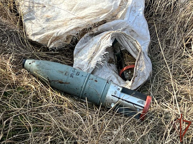 Росгвардейцы обнаружили крупный схрон с вооружением и боеприпасами в Запорожской области 