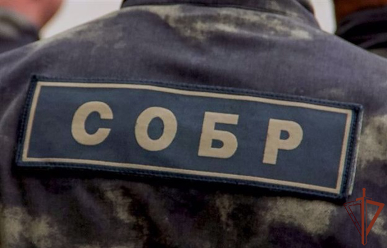 Спецназ Росгвардии пресек деятельность нелегального игорного заведения в Ярославле