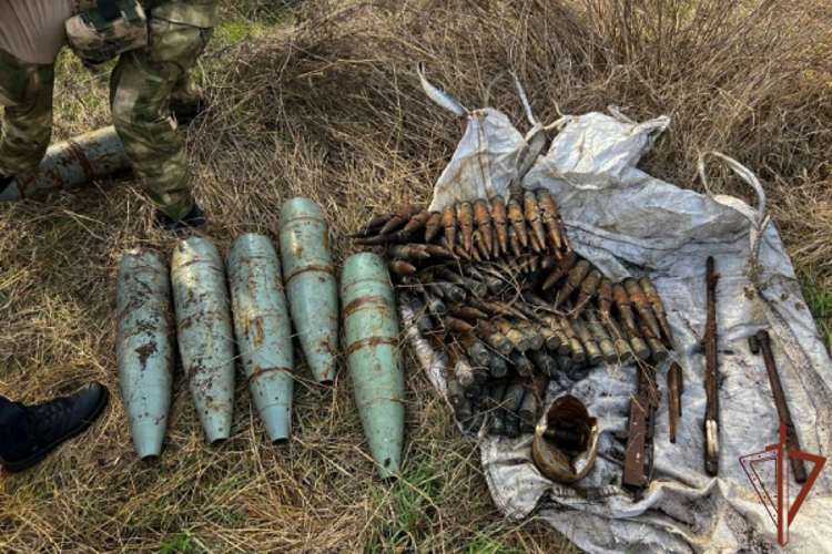 Росгвардейцы обнаружили крупный схрон с вооружением и боеприпасами в Запорожской области 